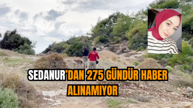  Sedanur’dan 275 gündür haber alınamıyor   