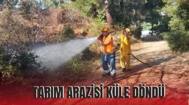 Tarım arazisi küle döndü