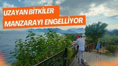 Uzayan bitkiler manzarayı engelliyor