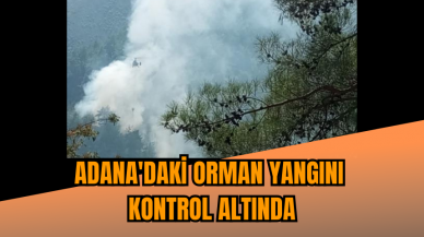 Adana'daki orman yangını kontrol altında