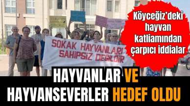 Köyceğiz'de hem hayvanlar hem hayvanseverler hedef oldu