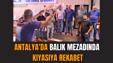 Antalya'da balık mezadında kıyasıya rekabet