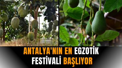 Antalya'nın en egzotik festivali başlıyor