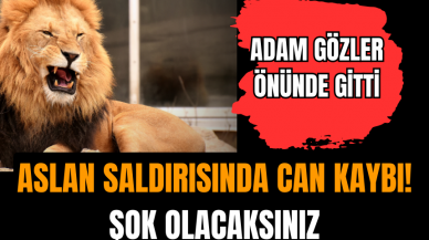 Aslan saldırısında can kaybı! Şok olacaksınız