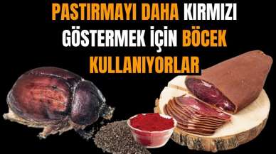 Pastırmayı daha kırmızı göstermek için böcek kullanıyorlar