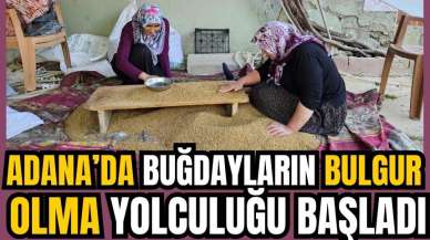 Adana'da buğdayın bulgur olma yolculuğu başladı 