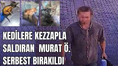 Kezzaplı cani ilk mahkemede serbest bırakıldı