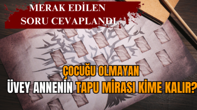 Çocuğu olmayan üvey annenin tapu mirası kime kalır?