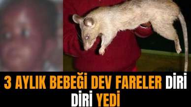 Üç aylık bebeği fareler canlı canlı yedi!