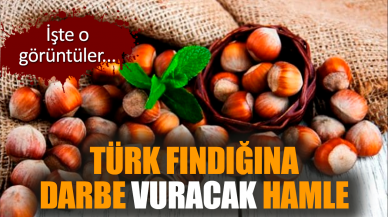 Türk fındığına darbe vuracak hamle