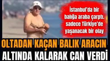 Balıkçının oltasından kaçan balık trafik kazasında öldü