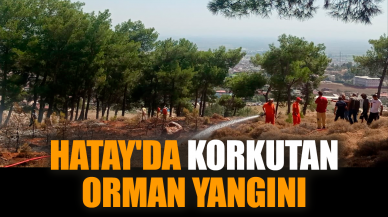 Hatay'da korkutan orman yangını