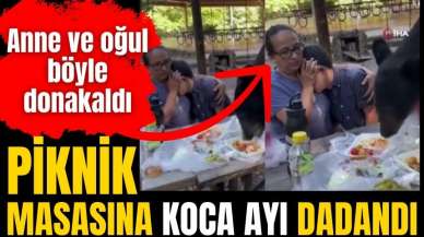 Ayı piknikçilerin masasına dadandı! Anne oğul dondu kaldı