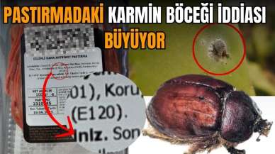 Pastırmadaki Karmin böceği tartışması büyüyor