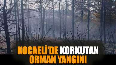 Kocaeli'de korkutan orman yangını