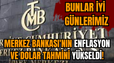 Merkez Bankası'nın enflasyon ve dolar tahmini yükseldi!