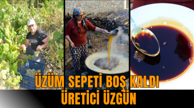 Üzüm sepeti boş kaldı üretici üzgün