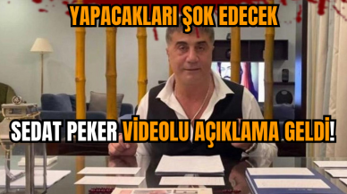 Sedat Peker videolu açıklama geldi! Yapacakları şok edecek