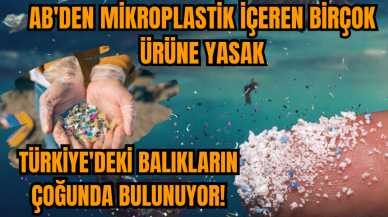 AB'den mikroplastik içeren birçok ürüne yasak: Türkiye'deki balıkların çoğunda bulunuyor!