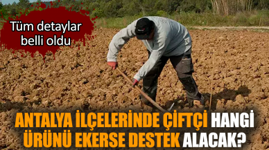 Antalya ilçelerinde çiftçi hangi ürünü ekerse destek alacak?