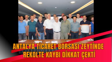 Antalya Ticaret Borsası zeytinde rekolte kaybı dikkat çekti