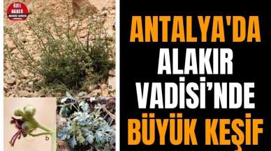 Antalya'da Alakır Vadisi’nde büyük keşif