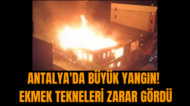 Antalya'da büyük yangın! Ekmek tekneleri zarar gördü