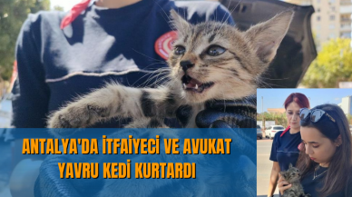 Antalya'da itfaiyeci ve avukat yavru kedi kurtardı