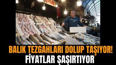 Balık tezgahları dolup taşıyor! Fiyatlar şaşırtıyor