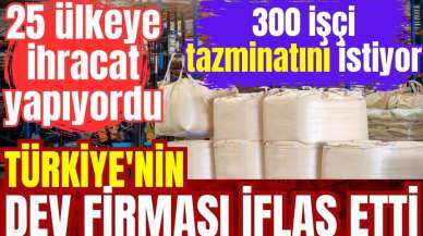 25 ülkeye ihracat yapan Türkiye'nin dev firması iflas etti