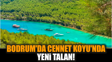 Bodrum'da Cennet Koyu'nda yeni talan!