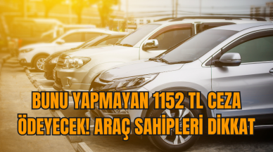 Bunu yapmayan 1152 TL ceza ödeyecek! Araç sahipleri dikkat