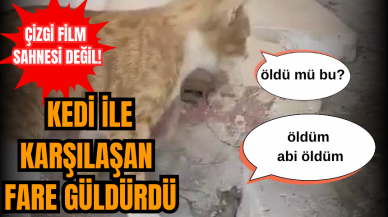 Çizgi film sahnesi değil! Kedi ile karşılaşan fare güldürdü