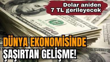 Dünya ekonomisinde şaşırtan gelişme! Dolar aniden 7 TL gerileyecek