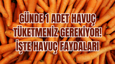 Günde 1 adet havuç tüketmeniz gerekiyor! İşte havuç faydaları