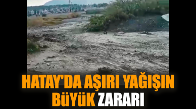 Hatay'da aşırı yağışın büyük zararı