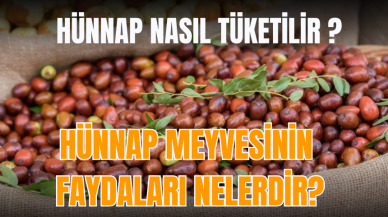 Hünnap meyvesinin faydaları nelerdir? Hünnap nasıl tüketilir?