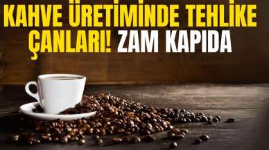 Kahve üretiminde tehlike çanları! Zam kapıda