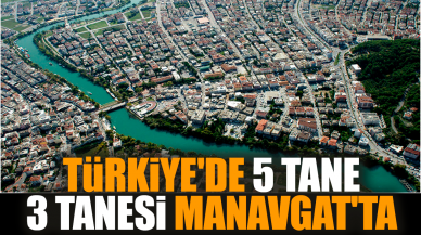 Türkiye'de 5 tane 3 tanesi Manavgat'ta