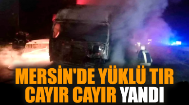 Mersin'de yüklü tır cayır cayır yandı