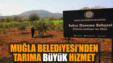 Muğla Belediyesi'nden tarıma büyük hizmet