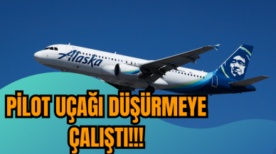 Yolcu uçağını düşürmeye çalıştı!