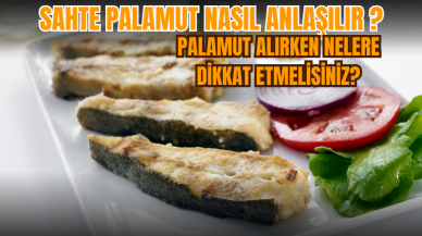 Sahte palamut nasıl anlaşılır? Palamut alırken nelere dikkat etmelisiniz?