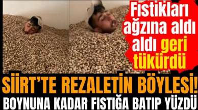 Siirt'te fıstık rezaleti! Fıstıkların arasında yüzüp tükürdü