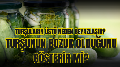 Turşuların üstü neden beyazlaşır? Turşunun bozuk olduğunu gösterir mi?