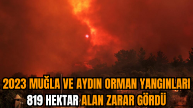 2023 Muğla ve Aydın Orman Yangınları 819 hektar alan zarar gördü