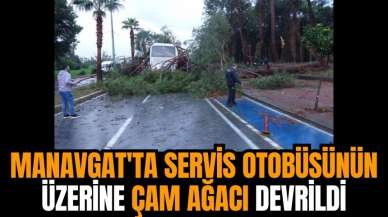 Manavgat'ta servis otobüsünün üzerine çam ağacı devrildi