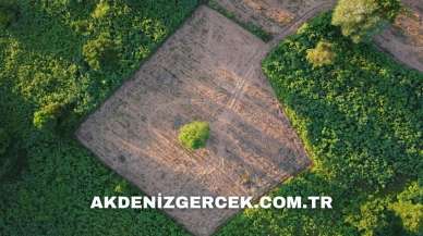 Denizli Merkezefendi'de 1.550 m² mahkemeden satılık tarla