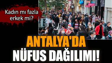 Antalya'da nüfus dağılımı! Kadın mı fazla, erkek mi?