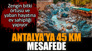 Antalya'ya 45 km mesafede zengin bitki örtüsü ve yaban hayatına ev sahipliği yapıyor